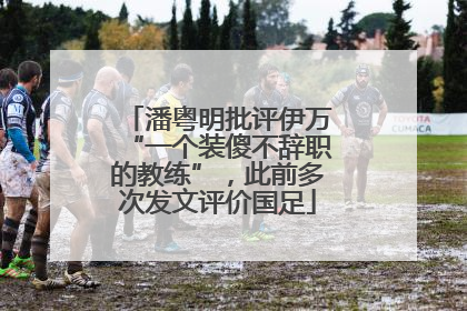 潘粤明批评伊万“一个装傻不辞职的教练”，此前多次发文评价国足