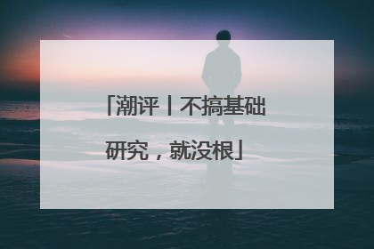 潮评丨不搞基础研究，就没根