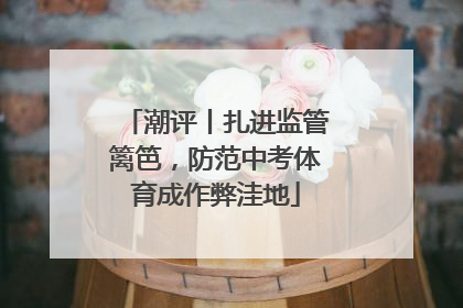 潮评丨扎进监管篱笆，防范中考体育成作弊洼地