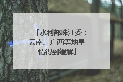 水利部珠江委：云南、广西等地旱情得到缓解