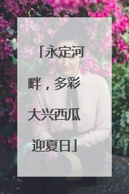 永定河畔，多彩大兴西瓜迎夏日