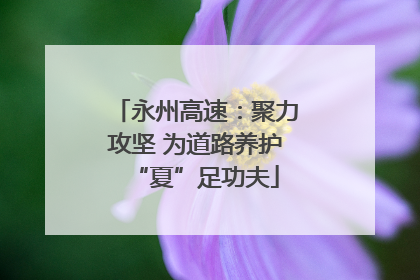 永州高速：聚力攻坚 为道路养护“夏”足功夫