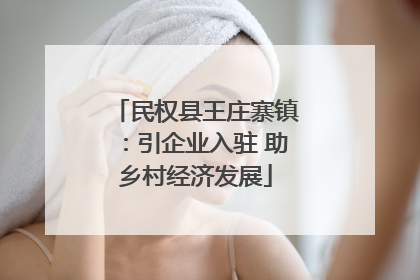 民权县王庄寨镇：引企业入驻 助乡村经济发展