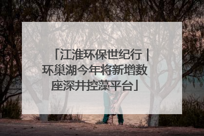 江淮环保世纪行｜环巢湖今年将新增数座深井控藻平台