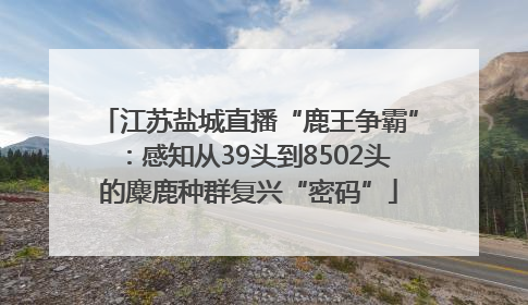 江苏盐城直播“鹿王争霸”：感知从39头到8502头的麋鹿种群复兴“密码”