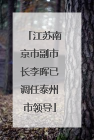 江苏南京市副市长李晖已调任泰州市领导