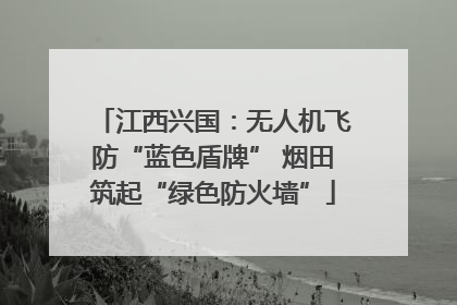 江西兴国：无人机飞防“蓝色盾牌” 烟田筑起“绿色防火墙”