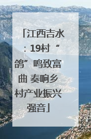 江西吉水：19村“鸽”鸣致富曲 奏响乡村产业振兴强音