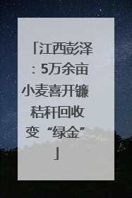 江西彭泽：5万余亩小麦喜开镰 秸秆回收变“绿金”