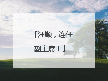 汪顺，连任副主席！
