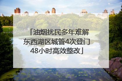 油烟扰民多年难解 东西湖区城管4次登门48小时高效整改