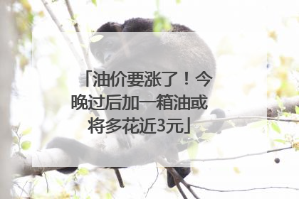 油价要涨了！今晚过后加一箱油或将多花近3元