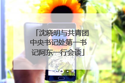 沈晓明与共青团中央书记处第一书记阿东一行会谈
