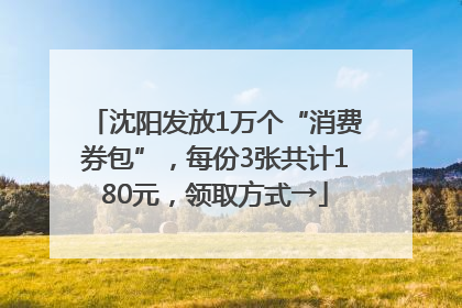 沈阳发放1万个“消费券包”，每份3张共计180元，领取方式→