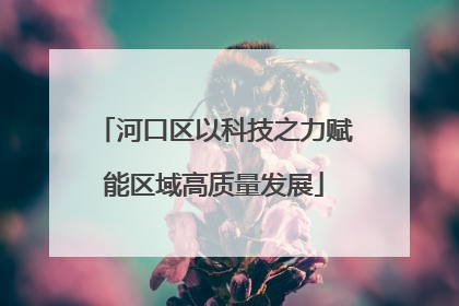 河口区以科技之力赋能区域高质量发展