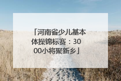 河南省少儿基本体操锦标赛：3000小将聚新乡