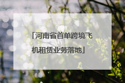 河南省首单跨境飞机租赁业务落地