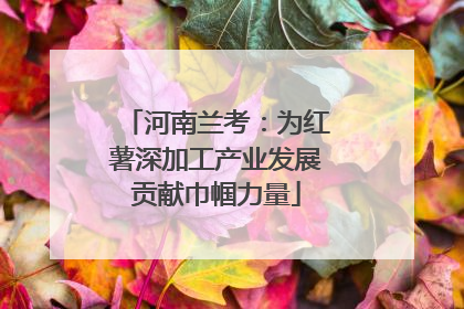 河南兰考：为红薯深加工产业发展贡献巾帼力量