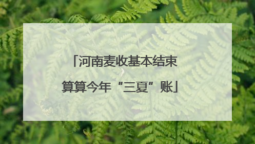 河南麦收基本结束 算算今年“三夏”账