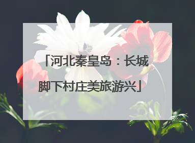 河北秦皇岛：长城脚下村庄美旅游兴