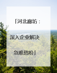河北廊坊：深入企业解决急难愁盼