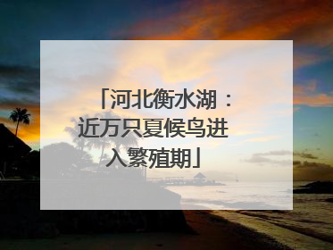 河北衡水湖：近万只夏候鸟进入繁殖期