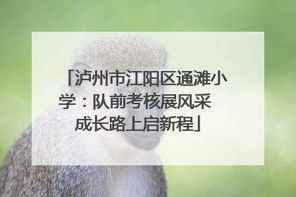泸州市江阳区通滩小学：队前考核展风采 成长路上启新程