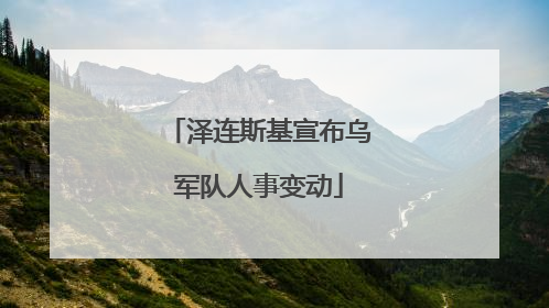 泽连斯基宣布乌军队人事变动