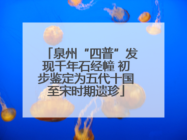 泉州“四普”发现千年石经幢 初步鉴定为五代十国至宋时期遗珍
