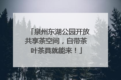 泉州东湖公园开放共享茶空间，自带茶叶茶具就能来！