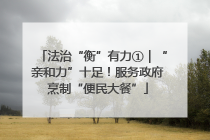 法治“衡”有力①｜“亲和力”十足！服务政府烹制“便民大餐”