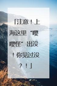 注意！上海这里“嘤嘤怪”出没！你见过没？！