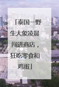 泰国一野生大象凌晨闯进商店，狂吃零食和鸡蛋