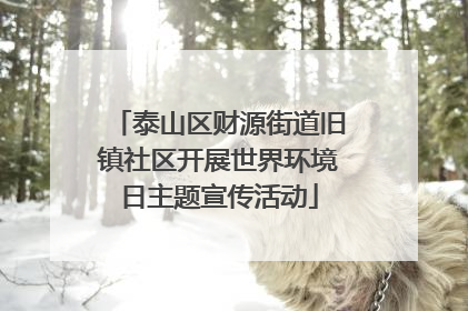 泰山区财源街道旧镇社区开展世界环境日主题宣传活动