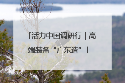 活力中国调研行｜高端装备“广东造”