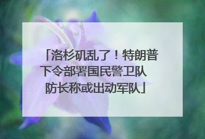 洛杉矶乱了！特朗普下令部署国民警卫队 防长称或出动军队