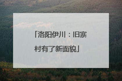 洛阳伊川：旧寨村有了新面貌