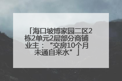 海口坡博家园二区2栋2单元2层部分商铺业主：“交房10个月未通自来水”