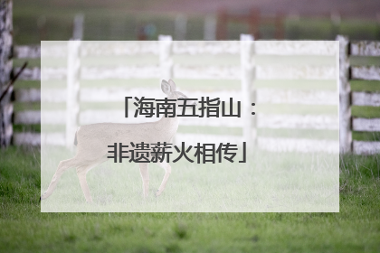 海南五指山：非遗薪火相传