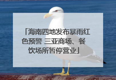 海南四地发布暴雨红色预警 三亚商场、餐饮场所暂停营业