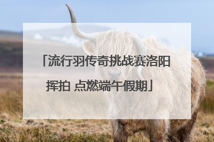 流行羽传奇挑战赛洛阳挥拍 点燃端午假期