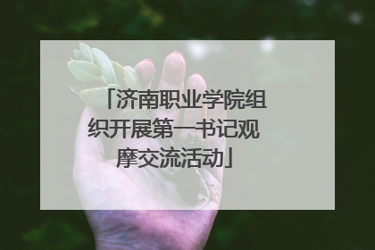 济南职业学院组织开展第一书记观摩交流活动
