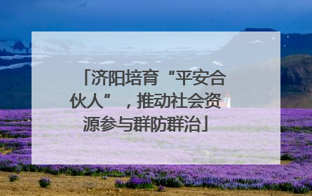 济阳培育“平安合伙人”，推动社会资源参与群防群治