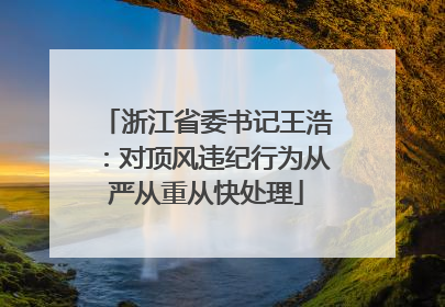 浙江省委书记王浩：对顶风违纪行为从严从重从快处理
