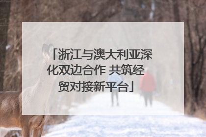 浙江与澳大利亚深化双边合作 共筑经贸对接新平台