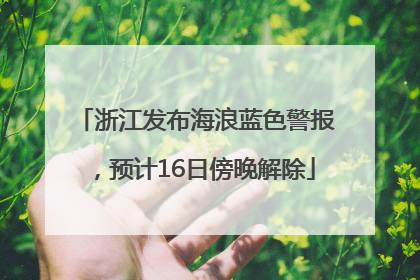 浙江发布海浪蓝色警报，预计16日傍晚解除