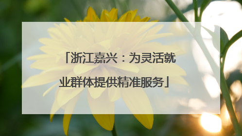 浙江嘉兴：为灵活就业群体提供精准服务