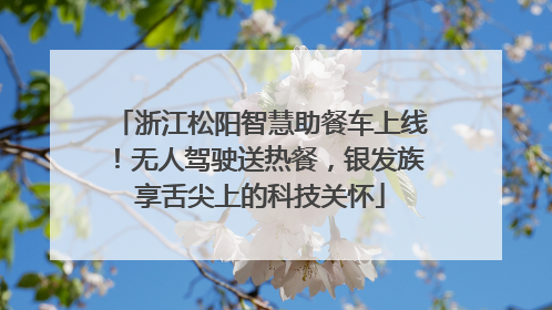 浙江松阳智慧助餐车上线！无人驾驶送热餐，银发族享舌尖上的科技关怀