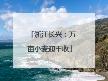 浙江长兴：万亩小麦迎丰收