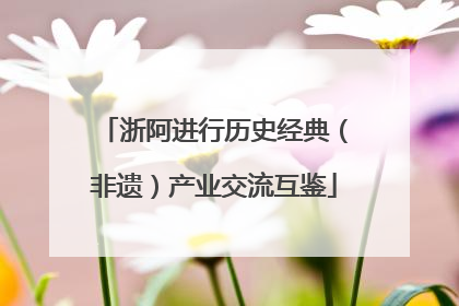 浙阿进行历史经典（非遗）产业交流互鉴